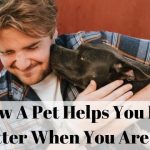 How A Pet Helps You Feel Better When You Are Sad