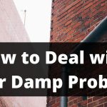 Damp Problem