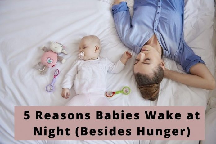 Babies Wake at Night