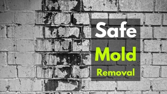 Safe mold removal