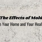 Mold Removal Tips