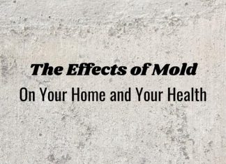 Mold Removal Tips