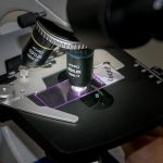 Guide to Prepare Microscope Slides in School Labs