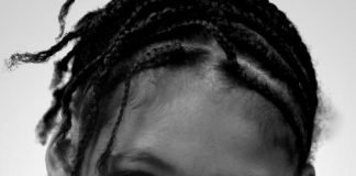 black kids braids hairstyles pictures