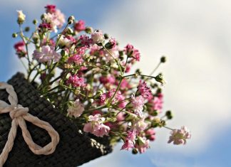 Flowers for a Bouquet