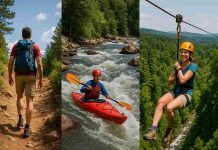 5 Must-Do Activities for Adventure Seekers in South Carolina Outdoor adventurer zip-lining, hiking, and kayaking in South Carolina.