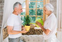 An elderly man and woman are standing together indoors, tending to a small potted plant. The man is holding the plant in a bright yellow pot while the woman waters it using a green watering can. They are in a cozy, rustic room with wooden walls, a large window, and neatly stacked firewood in the background.