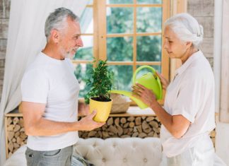Aging in Place: Why to Avail of Home Maintenance Support? An elderly man and woman are standing together indoors, tending to a small potted plant. The man is holding the plant in a bright yellow pot while the woman waters it using a green watering can. They are in a cozy, rustic room with wooden walls, a large window, and neatly stacked firewood in the background.