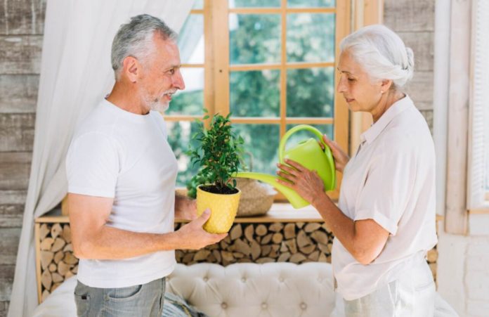 Why to Avail of Home Maintenance Support? An elderly man and woman are standing together indoors, tending to a small potted plant. The man is holding the plant in a bright yellow pot while the woman waters it using a green watering can. They are in a cozy, rustic room with wooden walls, a large window, and neatly stacked firewood in the background.