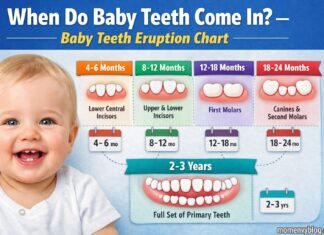 Baby teeth eruption timeline by age