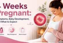 4 Weeks Pregnant: Symptoms, Baby Development, and What to Expect Pregnant woman smiling while gently holding her baby bump at 4 weeks of pregnancy, alongside an illustration of a developing embryo and graphics highlighting early pregnancy symptoms, baby development, and what to expect.