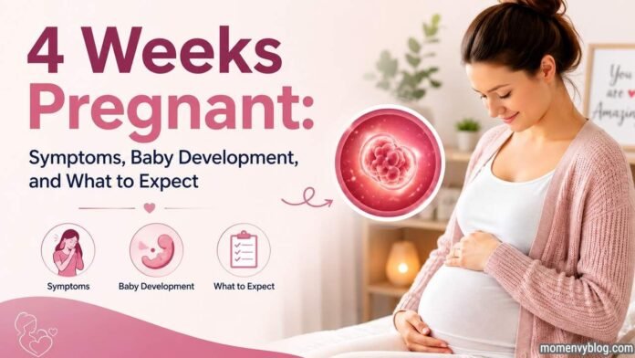 4 Weeks Pregnant: Symptoms, Baby Development Pregnant woman smiling while gently holding her baby bump at 4 weeks of pregnancy, alongside an illustration of a developing embryo and graphics highlighting early pregnancy symptoms, baby development, and what to expect.