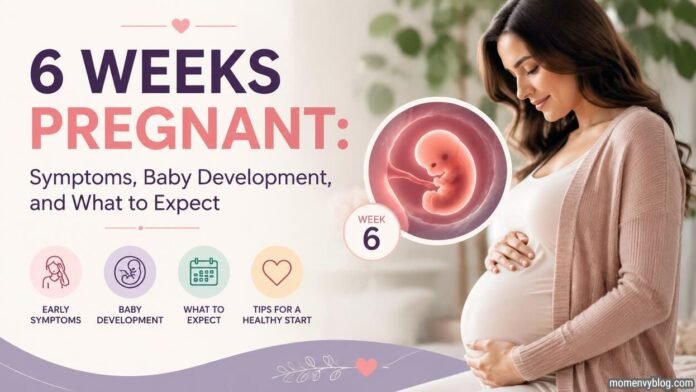 6 weeks pregnant woman with baby development illustration showing pregnancy symptoms and expectations.