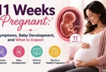 11 weeks pregnant woman with fetal development illustration showing early pregnancy symptoms and baby growth.