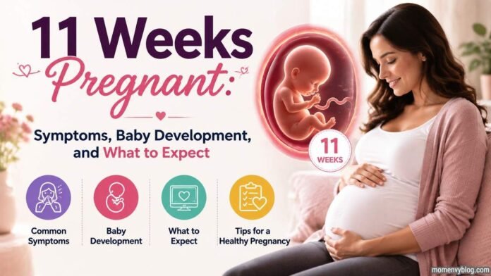 11 weeks pregnant woman with fetal development illustration showing early pregnancy symptoms and baby growth.