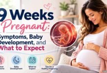 9 weeks pregnant woman holding her baby bump with a fetal development illustration representing pregnancy symptoms, baby development, and what to expect.