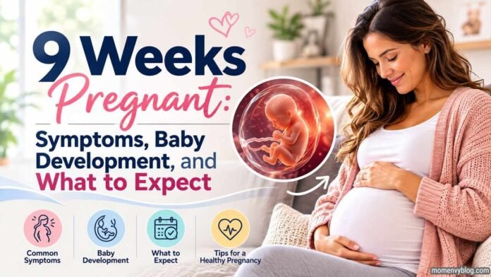 9 weeks pregnant woman holding her baby bump with a fetal development illustration representing pregnancy symptoms, baby development, and what to expect.